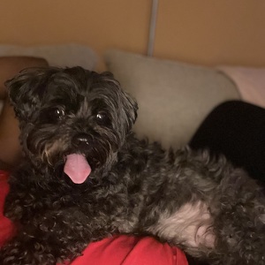 Fundraising Page: Bria Abner